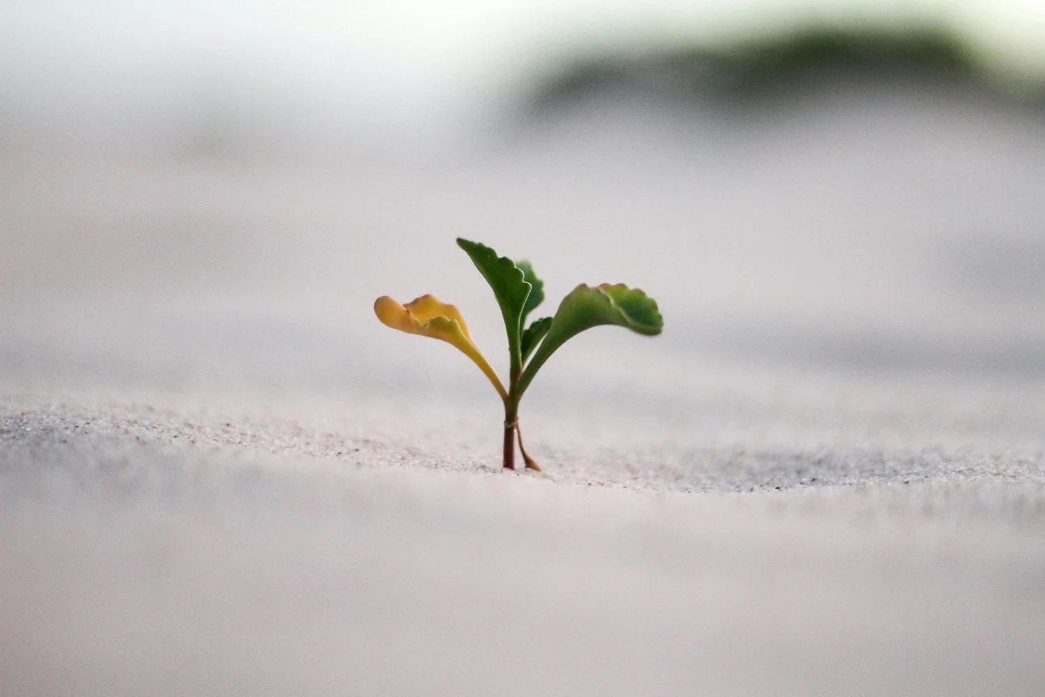 The First 90 Days of Finance at a Seed-Stage Startup